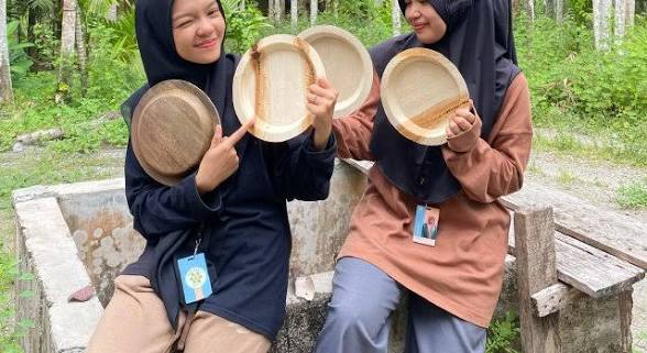 Piring dari Pelepah Pinang
