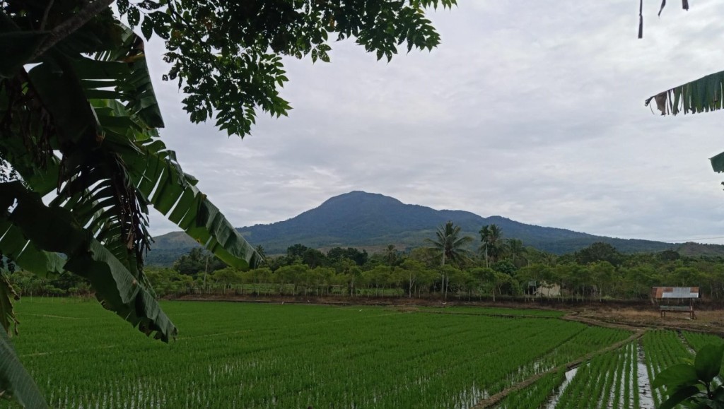Pemandangan Gampong Lamtamot